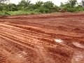 Adazi-Nnukwu-Erosion Gully 022
